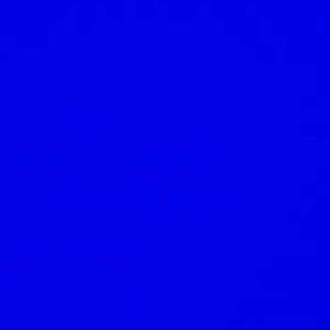 Meet your Posher, Izzy